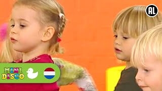 DE ZEVENSPRONG  Kinderliedjes  Kinderdagverblijf  Minidisco [upl. by Esilahc]