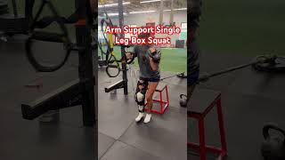 Arm Support Single Leg Squat [upl. by Yllom54]