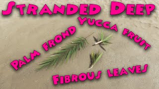 Stranded Deep  How to get fibrous leaves yucca fruit and palm fronds [upl. by Ariaic]