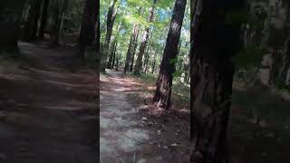 Marshviews new drop mtbmountainbiketrails virginiabeach mtbtrailsmountainbike new [upl. by Candie]