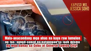 Malaanacondang mga ahas sunodsunod na natagpuan sa loob ng mga bahay  Kapuso Mo Jessica Soho [upl. by Anerbas494]