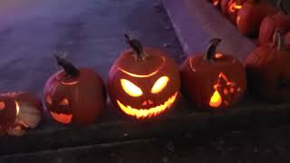 2024 JackOLantern Spectacular in Springfield Illinois [upl. by Chiarra279]