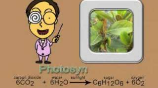 Photosynthesis song new and complete version [upl. by Anema]