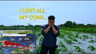 EXTREME FLOODING IN belize DESTROYS CROPS EXPECTING A HURRICANE hurricane flooding farm [upl. by Keil]