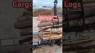 Wismar Germany self discharging cargo timber shorts [upl. by Rexford]