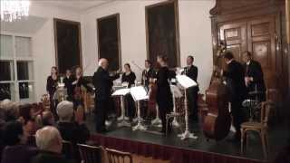 Champagner Galopp Johann Strauss Orchester Salzburg [upl. by Fi]