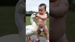 Funny duck 🦆 voice shortsfeed cute animals trending toy [upl. by Lilia543]