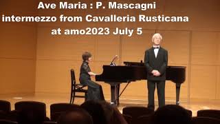 Ave Maria Mascagni at amo2023 [upl. by Goldenberg]