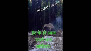 Landslide time in Nepal big stone fall down jungle [upl. by Eiuqnimod]