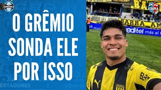 🔵⚫ Grêmio Matias Arezo  finalizador nato  Faro de gol e velocidade  Talento e potencial [upl. by Asillam]