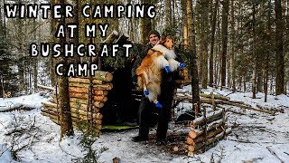 Winter Camping at My Bushcraft Camp [upl. by Itsa]