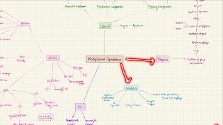 Histoplasma Capsulatum  Bloodstream Infections  2nd year MBBS  Microbiology [upl. by Nishi]