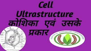 Ultrastructure of cell [upl. by Drarehs]