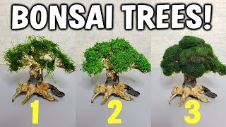 Making 3 Easy Aquarium Bonsai Trees For Your Planted Tank [upl. by Eisnil]