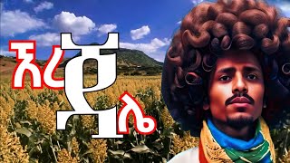 ኧረ ጎራው ኧረ ደመንማኔ  መሳጭ ቀረርቶ  kererto  fukera  shilela kererto aynmedia [upl. by Nadeau206]