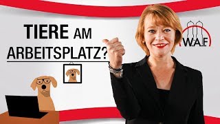 Tiere am Arbeitsplatz  Darf ich mein Haustier in die Arbeit mitnehmen  Betriebsrat Video [upl. by Munford]