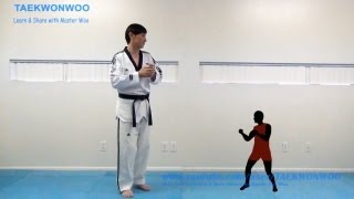 Everything You Must Know in Taekwondo Sparring Explained  TaekwonWoo [upl. by Zohar449]