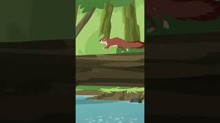 Wild Kratts  Squirrel vs Butternut Kayak  PBS KIDS Shorts [upl. by Irahc]