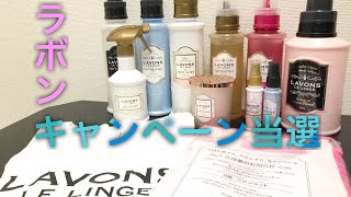 【ラボンキャンペーンまた当選】僕が使ってるLAVONSの洗剤とかの紹介。 [upl. by Grete787]