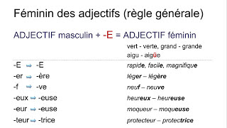 Les adjectifs – introduction  genre fémininmasculin – nombre plurielsingulier [upl. by Yorle]