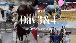 World Clydesdale Show  Day 3 amp 4 [upl. by Keg]