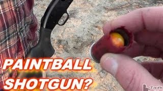 Shooting PAINTBALL from 12ga Shotgun [upl. by Mufi]