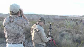 Texas Aoudad Hunt Lapua rifle Big Aoudad Wildlife Systems [upl. by Connors787]