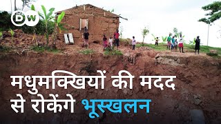 भूस्खलन रोक सकती हैं मधुमक्खियां How honeybees can prevent landslides [upl. by Juanita]