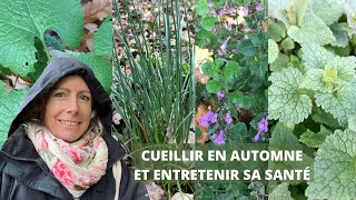 Cueillir en automne et entretenir sa santé [upl. by Halsy]