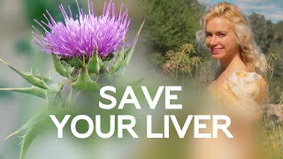 This plant will save your liver  Milk Thistle Silybum marianum [upl. by Willms791]