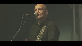 WILKO JOHNSON  ROXETTE  LIVE WICKHAM FESTIVAL 2013  FAREWELL TOUR [upl. by Dahsar]