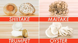 Trying Every Type Of Mushroom  The Big Guide  Epicurious [upl. by Dniren]