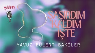 Yavuz Bülent BAKİLER  Şaşırdım Kaldım İşte Şiir [upl. by Needan]