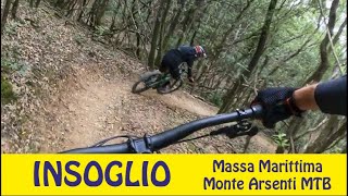 il flow trail perfetto INSOGLIO Monte Arsenti area Massa Marittima GR [upl. by Alleroif]