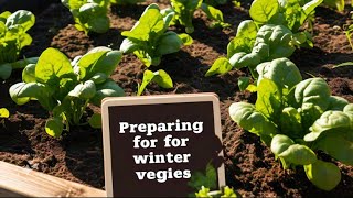 Harvesting Bottle Gourd amp Sowing Winter Veggies  Rooftop Garden  Piyalis Rooftop Garden [upl. by Longfellow218]