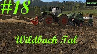 LP18 Wildbach Tal LS17 Schnelle Maßnahme erforderlich [upl. by Osrit]