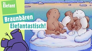 Der kleine Eisbär spielt mit den Braunbären amp Der Buchstabe B  Der Elefant  WDR [upl. by Faustina]