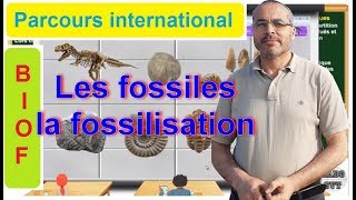 PARCOURS INTERNATIONAL BIOF les fossiles et la fossilisation [upl. by Viradis]