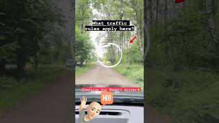 Traffic rule  DRIVING TEST  🚦 driving rules  driving test tips key2dl körkort car driving [upl. by Nylirad738]