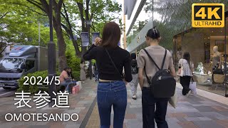 Weekend Walk in Tokyo From Harajuku to Shibuya  20245 [upl. by Enahsed591]