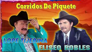 20 Éxitos de Elíseo Robles y Lupe Tijerina  Cadetes de Linares  Corridos Viejitos Mix [upl. by Clellan]