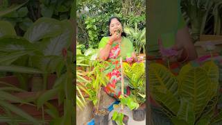 RRR Nursery Part12 comedy shorts richakka [upl. by Elletnuahc239]