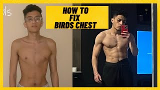 HOW I FIXED MY BIRDS CHEST  Transform Your Chest Fast [upl. by Annahsal]