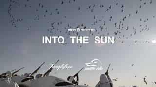 INTO THE SUN  canada goose hunting and snow goose hunting in one day [upl. by Austin]