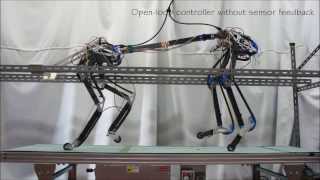 Pneupard A biomimetic quadruped robot [upl. by Schwinn]