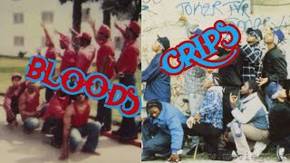 Bloods amp Crips History and Origins [upl. by Toiboid95]