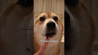 Top 10 Gooby Woobies very scary dog shiba [upl. by Burr]