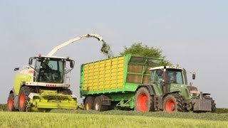 Silage with Claas JAGUAR 960 and Fendt  Lacroix à lensilage dherbe 2013 [upl. by Sachi864]