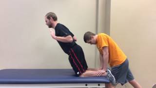 Nordic Hamstring Curl  Full [upl. by Aicener]