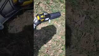 DeWalt 20 volt Pole Saw [upl. by Eleirbag]